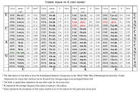 codon usage