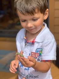 Finally! We found some caterpillars!!