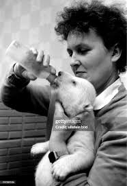 Eine "neue Mutter" hat das Eisbärenbaby, das vor 50 Tagen im... News Photo 