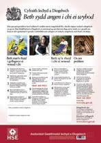 State posting requirements can also carry penalties. Health And Safety Law Poster A4 Free Download Hse Images Videos Gallery