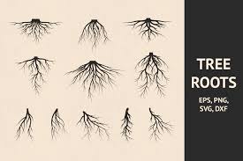 Size of this png preview of this svg file: 11 Hand Drawn Tree Roots Graphic By Kirill S Workshop Creative Fabrica