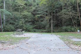Each feature a unique natural setting; Natural Bridge State Resort Park Whittleton Campsite Photos Reserve