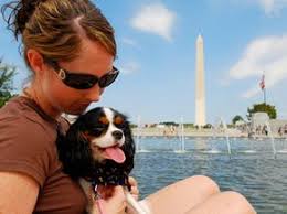 What you can bring home to canada. How Pet Shipping Works Howstuffworks