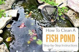 Pond sludge is a common problem in garden ponds, at some point it needs to be removed before it pond sludge is an accumulation of organic waste that sits on the bottom of your garden pond and keeping organic waste out of the pond such as leaves can be done by putting a net over the pond. Easy Diy Fish Pond Cleaning Instructions Get Busy Gardening
