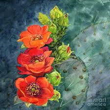 You can also grow it in opuntia, or prickly pear cactus, can be found growing naturally throughout the u.s. Red Flowering Prickly Pear Cactus Painting By Marilyn Smith