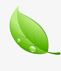 ورقة الشجر umbrella