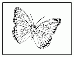 If you seek for best butterfly captions to color, look no further, as below we outline fun and accessible printable butterfly coloring pages for both kids and adults. Animal Coloring Butterfly Coloring Pages Butterfly 22 Butterfly Coloring Library