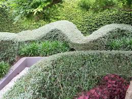 Trish Bartleet Projects Partridge Garden Garden Plants Outdoor Decor