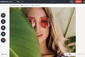 Shutterstock Image Editor Review 2022