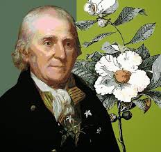 John Bartram was born in Darby in Colonial Pennsylvania in 1699. He was  born into a Quaker family