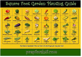 Pin Von Ci Ar Auf Garden Gartnern Auf Kleinem Raum Gartenarbeit Gardening
