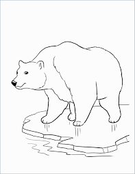 You can color this beautiful baby polar bear coloring page and many more winter themed coloring sheets. Pin On School Stuff