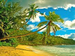 Tropical Lands Endless Summer Photo Golf Courses