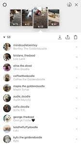 No harm in wanting to see who's impressed by your creativity and checking you out on this popular social network. Can You See Who Views Your Instagram Timesnext