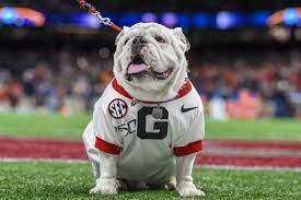 The georgia bulldogs football program represents the university of georgia in the sport of american football. 2021 Football Opponent Previews Georgia Bulldogs Rock M Nation