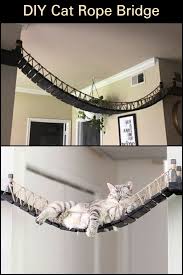 diy cat rope bridge your projects obn cat room cat houses indoor cat tree house