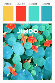 Farbkombination Gelb Turkis Rot Mint In 2020 Farbpalette Blau Farbkombination Farbkombinationen