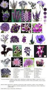 We did not find results for: Purple Wedding Flowers Purple Wedding Flowers Purple Flowers Flower Guide