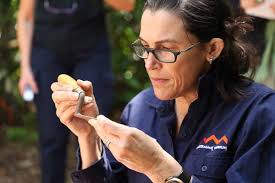 Domestic and religious structures in the Emily Bay settlement site, Norfolk  Island