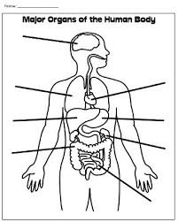 Printable Human Body Worksheet Human Body Worksheets Human Body Organs Human Body Diagram