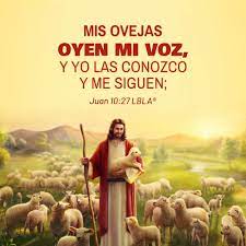 Mis Ovejas Oyen Mi Voz Y Yo Las Conozco Y Me Siguen Juan 10 27 Lbla Diostodopoderoso Dios Biblia Jesus Cristo Pastores Cristianos Juan 10 Evangelio