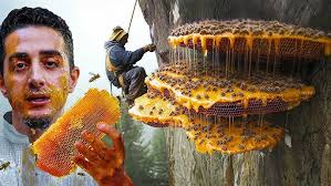 Building up my new Kink Tactic Frame #bmx #bikelife #kinkbmx #bmxlife  #bikebuild