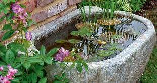 Stellen sie eine regentonne auf. Kleine Wassergarten Die Schonsten Ideen Mein Schoner Garten