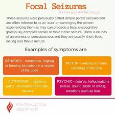 Pin By Jasmine Mcinnis On Carter Focal Seizure Epilepsy Epilepsy Seizure