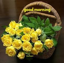 Good Morning Good Morning Flowers Yellow Roses Beautiful Flower Arrangements