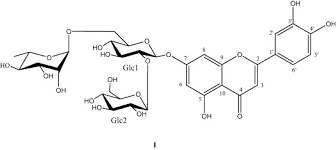 Image result for Sclerochiton vogelii