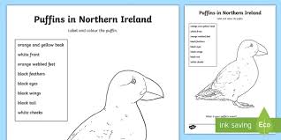 Click on the activity or coloring page below to get the full size printable version. Puffin Colouring Page Teacher Made