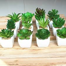 Hot Sale 12pcs Set Mini Artificial Potted Succulent Plant Windowsill Decoration Plant In Ceramic Pot Home Decoration Decorative Plants Artificial Potartificial Plants Succulent Plant Aliexpress