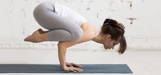 Crow or crane (with straight arms) pose origin of word baka = a crane. Bakasana Images 1 Minute Strength Yoga Bakasana With Kino Youtube With Download All Photos And Use Them Even For Commercial Projects Bellem3c Images