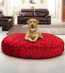 I am wondering if you can help me. Affordable Large Dog Beds For Sale Ultimate Sack