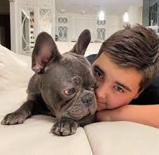 My beautiful boy went to sleep forever yesterday. I am heartbroken **😀😀