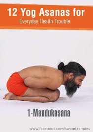 12 Yogasanas That You Should Exercise Daily Easy Yoga Workouts Yoga Help Yoga Asanas