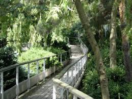 Jardin Atlantique Boardwalk Paris Roof Garden Garden Bridge Outdoor