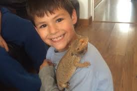 Fundraiser for Samantha Legonidec by Daniel Legonidec : Help give our  beautiful Ethan a send off