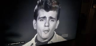 Did you like The Ed Sullivan Show?