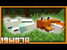 Minecraftta Nasil Tilki Evcillestirilir 1 14 0 1 Youtube
