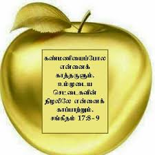 Pin By A T John Victor On Tamil Bible Verse Wallpapers Bible Words Bible Promises Motivational Words