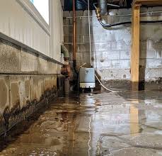 Preventing Basement Floods in West Austin, TX: Tips and Best Practices -  PuroClean of West Austin