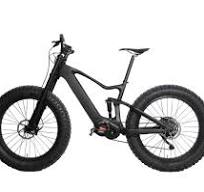 WINICE Carbon Fat Bike Electric Bicycle M620 1000W Full ...