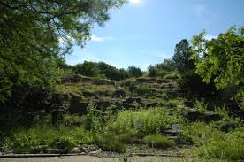Navigation ‌der garten ‌aktuelles ‌aktuelle mitteilungen ‌aktuelle termine ‌hinweis ‌veranstaltungsrückblick ‌pflanze des monats ‌stellenausschreibungen ‌ihr besuch im garten ‌freundeskreis ‌herbarium kiel ‌botanisches institut ‌kontakt und anreise logo. Uni Kiel Botanischer Garten Offnet Wieder Taglich