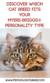 Which Cat Breed Fits Your Myers Briggs Personality Type Cat Breeds Personality Types Myers Briggs Personality Types