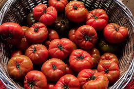 Choose from cherry to roma or beefsteak for exactly tomato seeds, plants & supplies. Eschewing Cardboard Tomatoes For The Luscious Imperfections Of Heirloom Jerseys The Altamont Enterprise