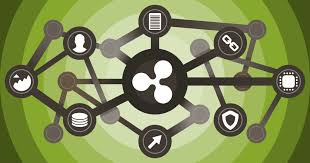 Ripple is a decentralized platform designed to optimize the operation of payment systems. Trader Compare Ripple Xrp To Paypal Not Bitcoin Ethereum World News