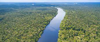 The area of the amazonas region was strongly linked to the independence thoughts and actions. Sos Amazonas