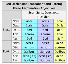 3rd declension adjectives classification and paradigms