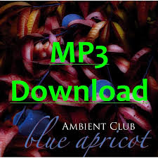 Guitar Piano Jazz Relax Instrumental Chill Out Lounge Music